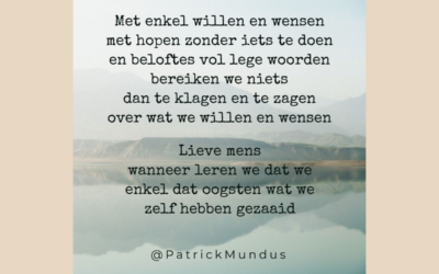 Met enkel willen en wensen